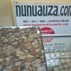 East Africa coins and notes collectors